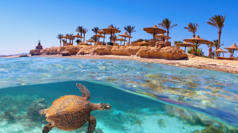 Mar Rosso alla ricerca di vacanze sostenibili