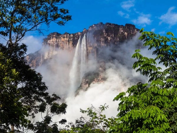 Oservare le Angel Falls (Salto Angel), la cascata più alta del mondo (978 m), Venezuela