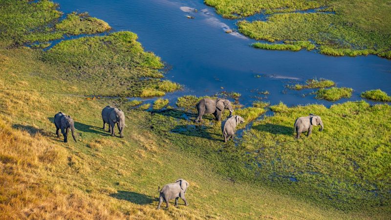 Safari a Okavango Delta