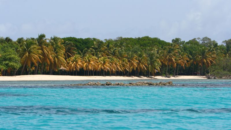 Sulle Tracce dell'Eden Un Viaggio Incantevole a Saint Vincent e Grenadine
