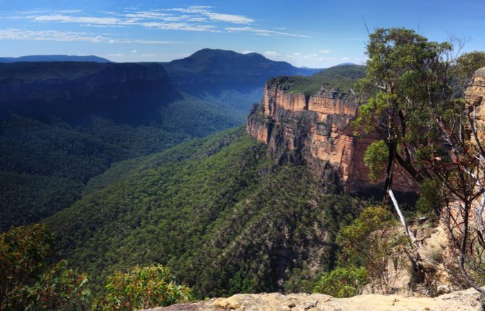 cuore del New South Wales