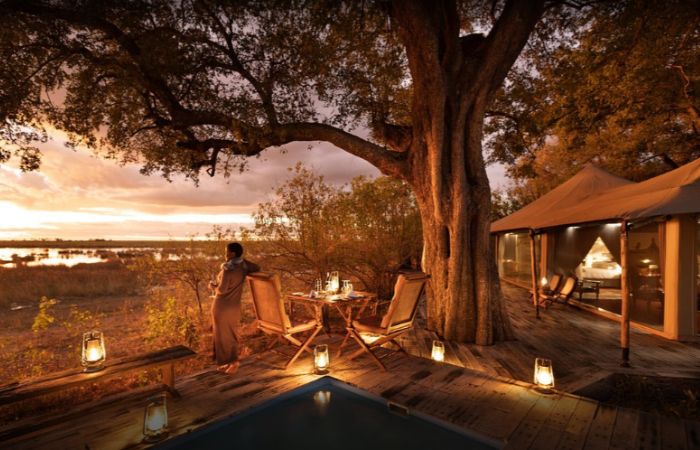 zarafa camp botswana