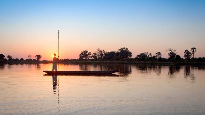 Safari a Okavango Delta