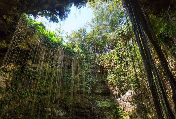 cenote-messico-paradiso-subacqueo