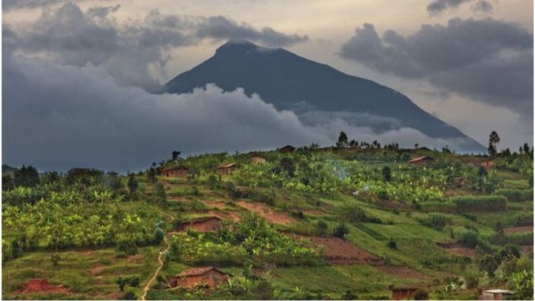 Il Parco Nazionale dei Vulcani ruanda