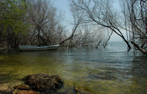 Lago Enriquillo Santo Domingo 