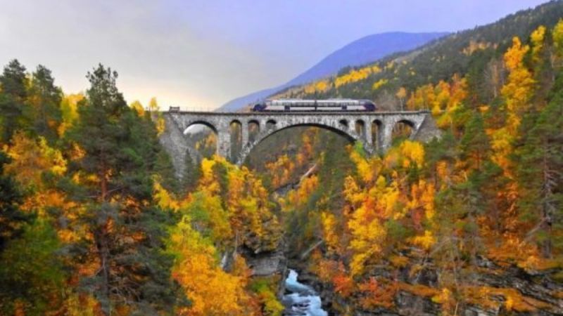 Artic-Circle-Express-viaggio-in-treno-in-Norvegia