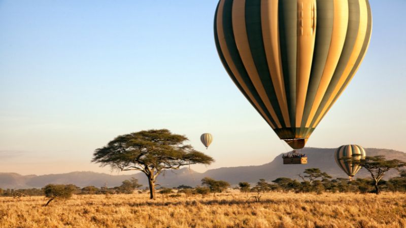Tanzania Lodges : Il Connubio Perfetto tra Avventura e Relax Tanzania Lodges : Il Connubio Perfetto tra Avventura e Relax