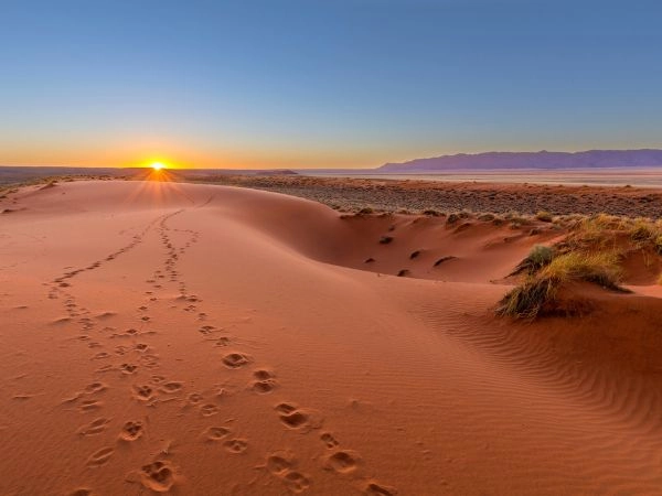 Attraversare il deserto del Kalahari tra dune rosse e fauna selvatica africana