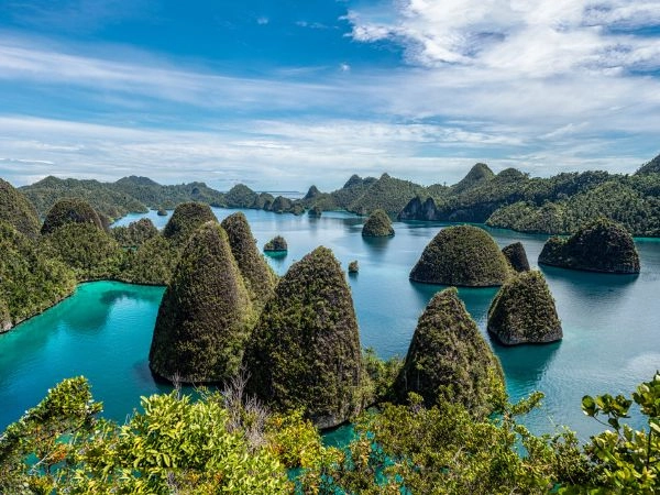 vedere le mante a Raja Ampat