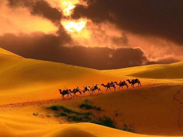 Attraversare il deserto del Gobi