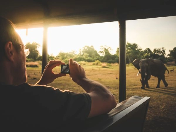 Esplorare lo Zambia tra parchi naturali, safari e paesaggi selvaggi
