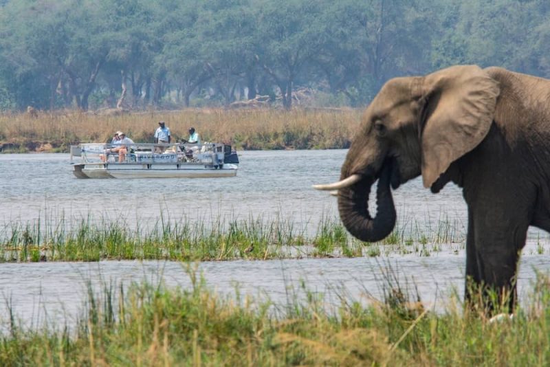 safari-sulle-acque-dello-zambesi-in-africa
