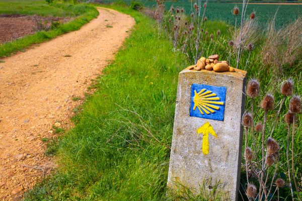 cammino-di-santiago-simbolo-conchiglia-