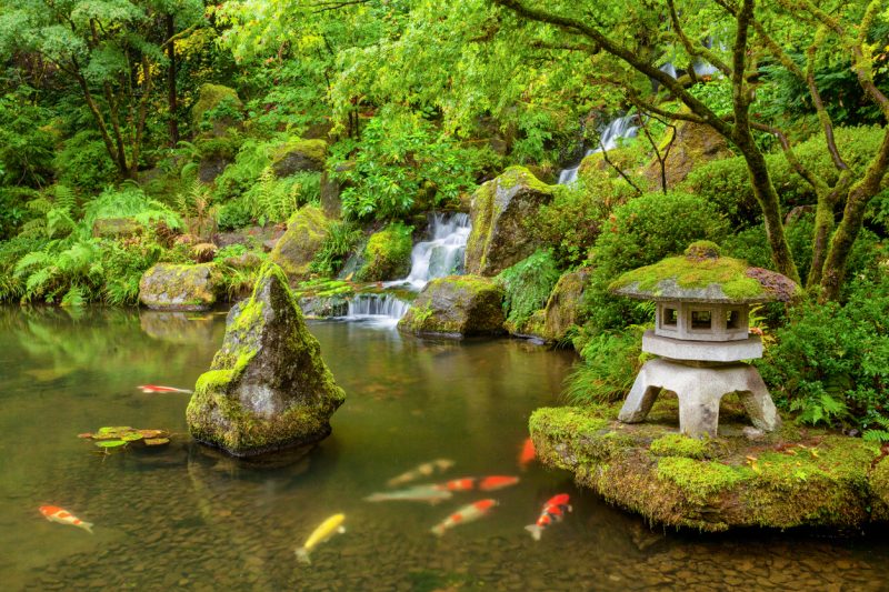 giardino-giappone-immagine-principale-