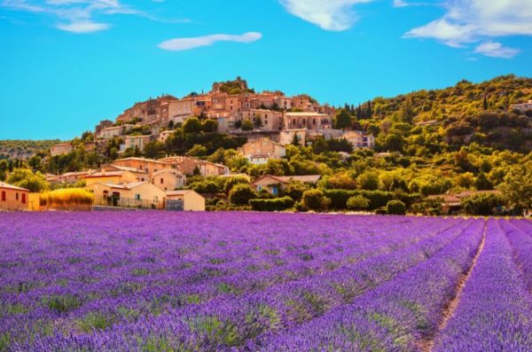 grasse-fiori-e-botanica-costa-azzurra-francia
