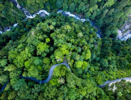 I Viaggi che Cambiano la Vita: Le 10 Esperienze Esclusive da Fare Almeno una Volta