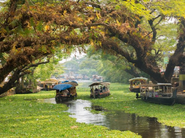 kerala-india-fiume-e-barche.
