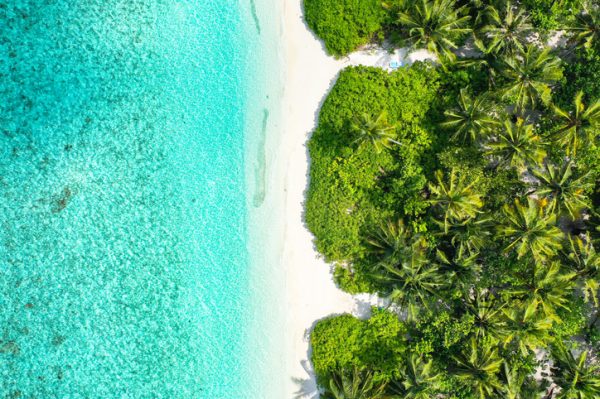 tra-vegetazione-e-le-acque-cristalline-delle-maldive-atolli-mldive