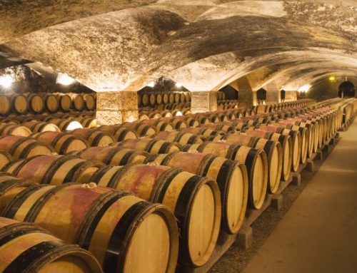 Nuove meraviglie italiane: percorsi d’autore tra enogastronomia, arte e natura