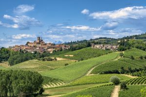 monferrato-paesaggio-verde-in-italia