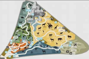 parco-zoologico-di-parigi-francia.