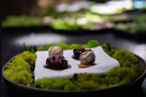 portata-salata-ristorante-stellato-canada