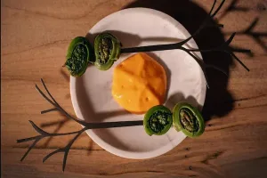 portata-verde-e-gialla-ristorante-stellato-canada