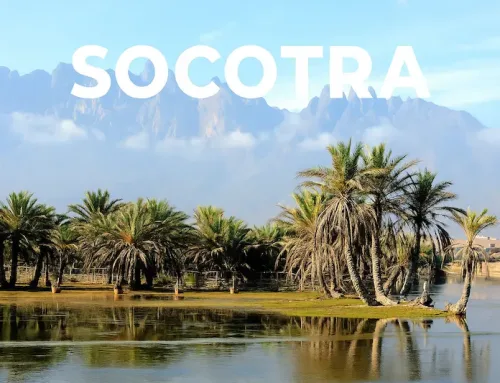 Cosa vedere a Socotra: guida completa all’isola più misteriosa dell’Oceano Indiano