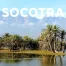 socotra-montagna-mare-palme-viaggio-da-sogno