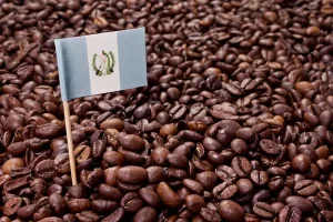 bandiera-del-guatemala-mettere-in-caffe-beans.