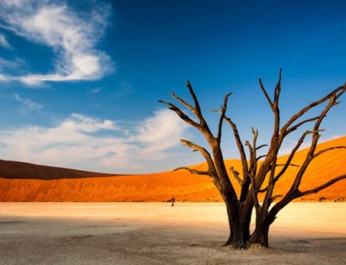 “MAD MAX” safari in namibia: tra dune, deserto e avventure estreme