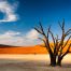 safari in namibia