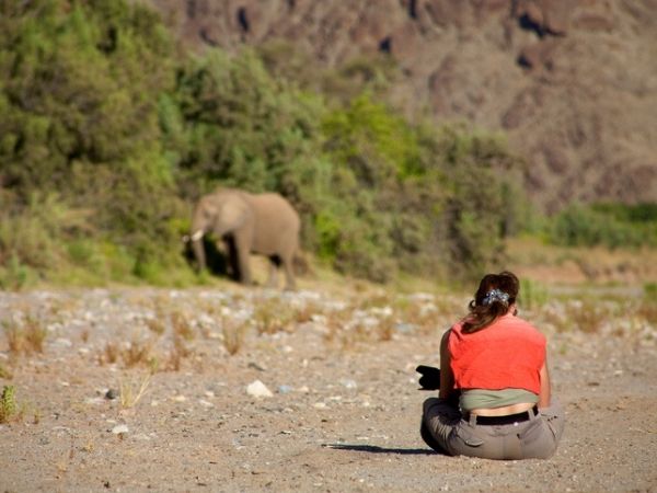 Super Tuskers
