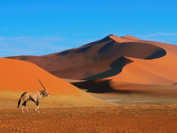 Sossusvlei deserto