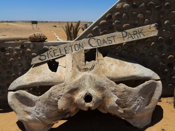 Skeleton Coast