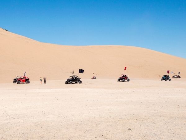 Mad Max Safari