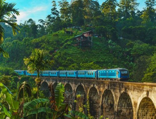 Sri Lanka di charme: templi antichi, tè pregiato e boutique hotel vista oceano