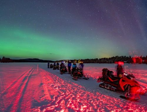 Lapponia a Natale: il viaggio dove la magia diventa realtà