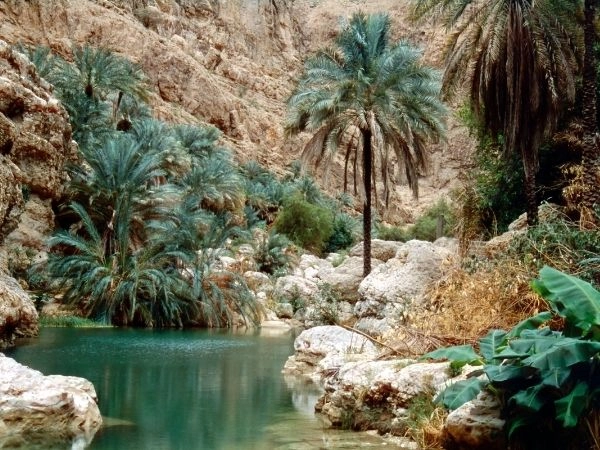 Wadi shab