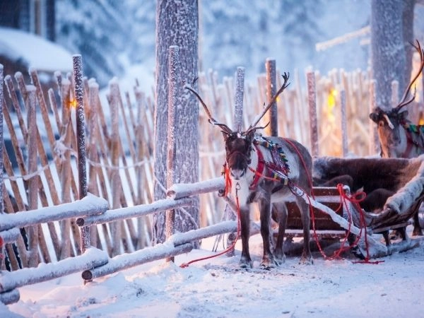 lapland