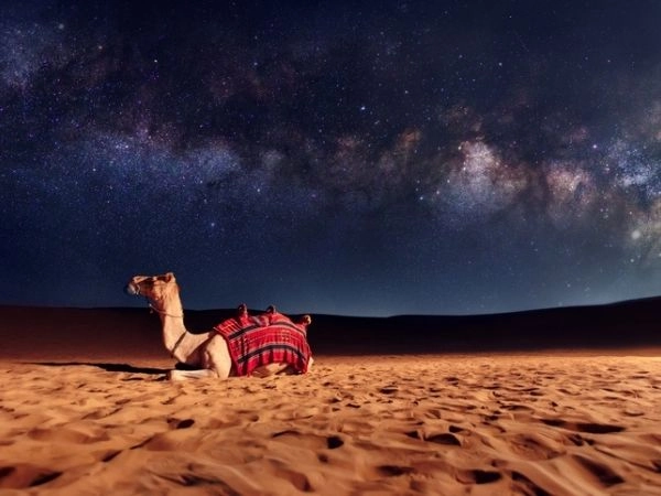 deserto sotto le stelle