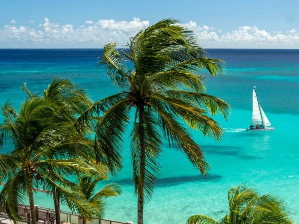 costa sud di Barbados