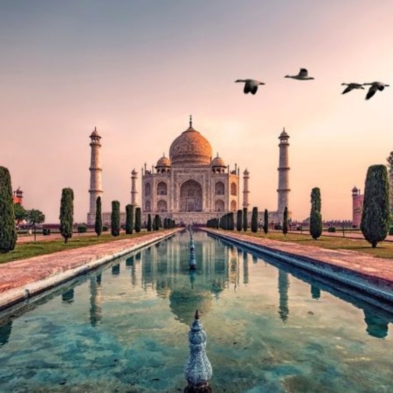viaggi culturali in india di Ascot Viaggi Taj Mahal di lusso