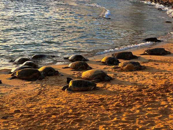 Hawaii, combinare le località più iconiche con esperienze autentiche.