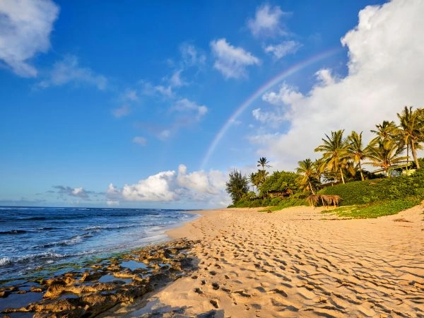 Oahu è l'isola più popolata e visitata delle Hawaii. 